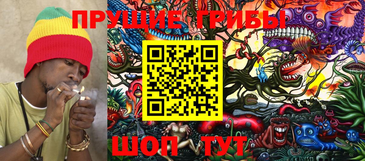 Галлюциногенные грибы Psilocybe  Вход с VPN  как найти   Тимашёвск 